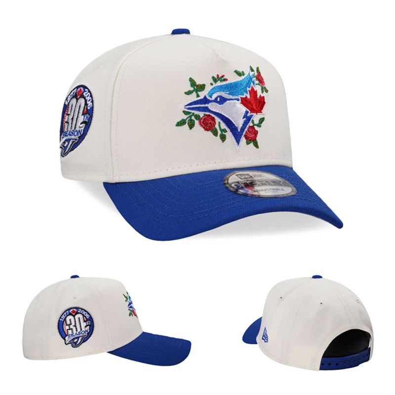 2025 MLB Toronto Blue Jays Hat YS20254171